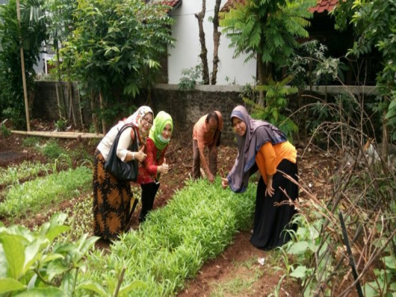 IMG-kwt-anyelir-optimalkan-tanaman-warung-hidup