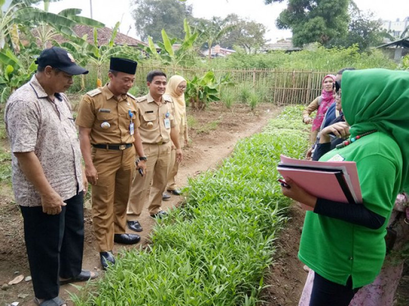 IMG-kebun-warga-hemat-pengeluaran-keluarga