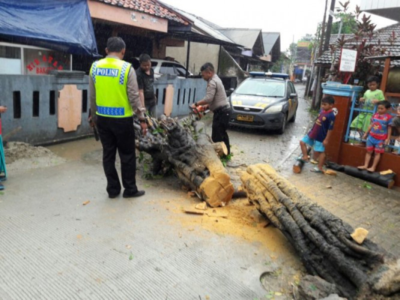 IMG-anggota-unit-sabhara-polsek-cipondoh-merapikan-pohon-yang-tumbang-menghalangi-jalan