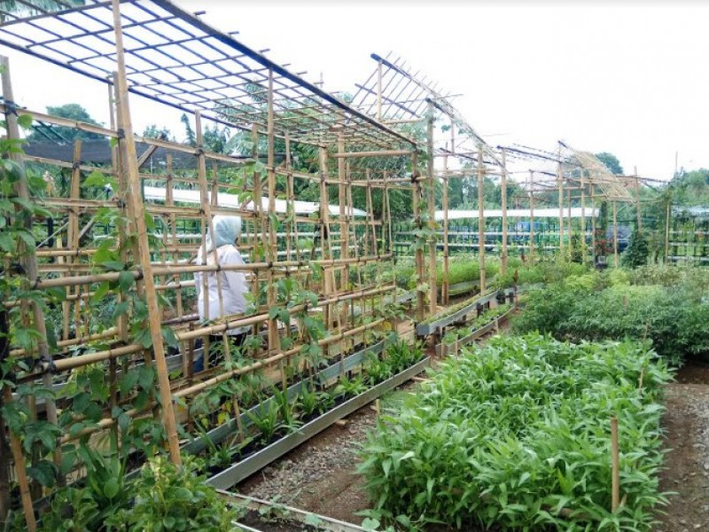 IMG-ksm-wujudkan-kampung-layak-huni-dan-angkat-kearifan-lokal