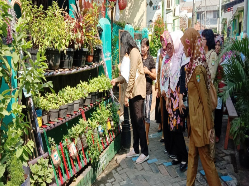 IMG-potensi-kampung-markisa-menjadi-kampung-proklim