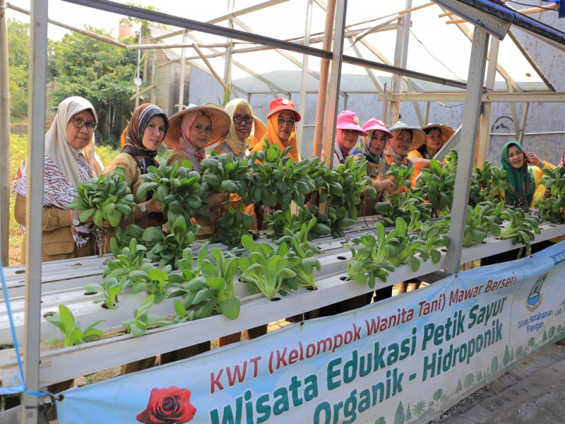 IMG-salut-kwt-mawar-berseri-produktif-dalam-manfaatkan-lahan