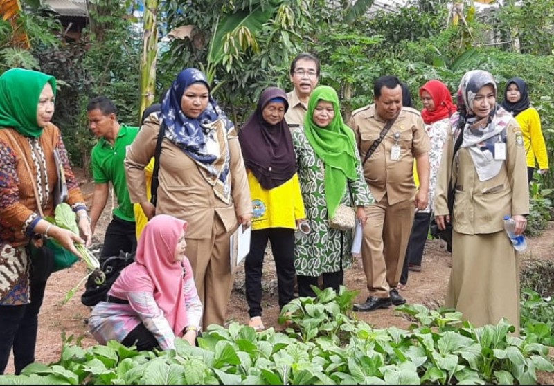 IMG-panen-caisim-sambil-diverifikasi-phbs