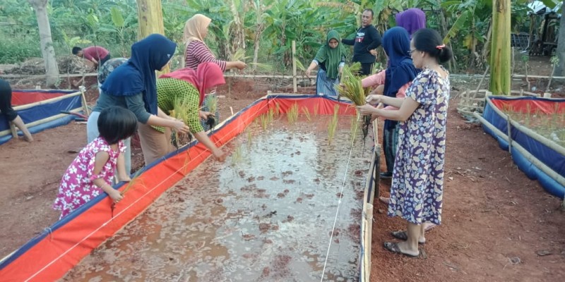 IMG-kecamatan-jatiuwung-punya-miniatur-persawahan