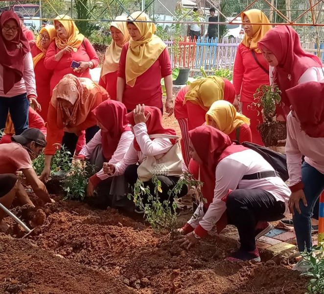 IMG-keseruan-anak-anak-tk-panen-sayuran