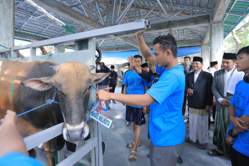 IMG-masjid-raya-al-azhom-terima-51-ekor-hewan-kurban