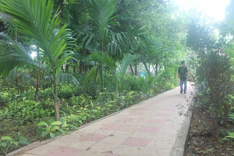 IMG-taman-tematik-aman-dari-dampak-banjir