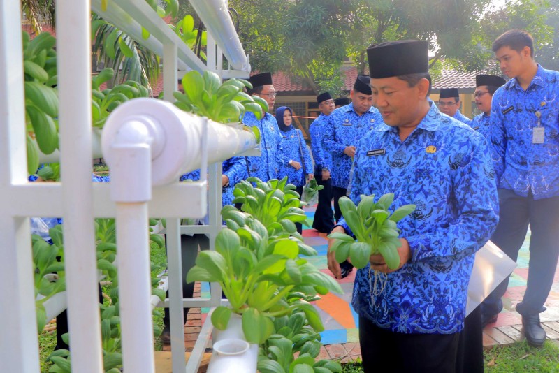 IMG-sekda-dan-kepala-opd-panen-pak-choi-di-puspem