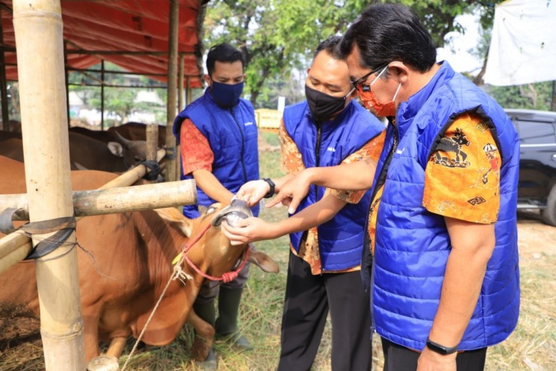 IMG-pemkot-pastikan-lapak-hewan-kurban-aman