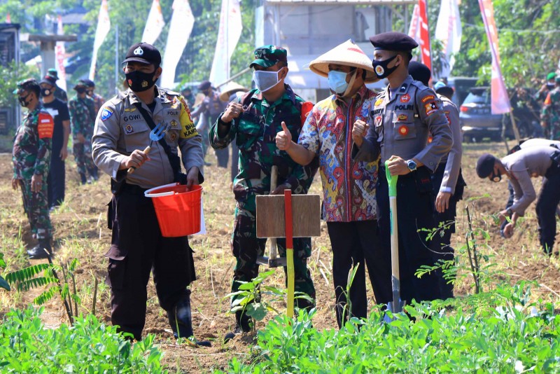 IMG-walikota-apresiasi-sinergitas-tni-dan-polri-dalam-optimalisasi-ketahanan-pangan-masyarakat