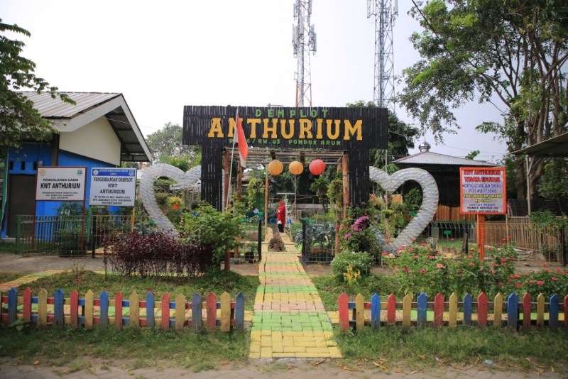 IMG-kreatifitas-kwt-anthurium-tetap-produktif-saat-pandemi