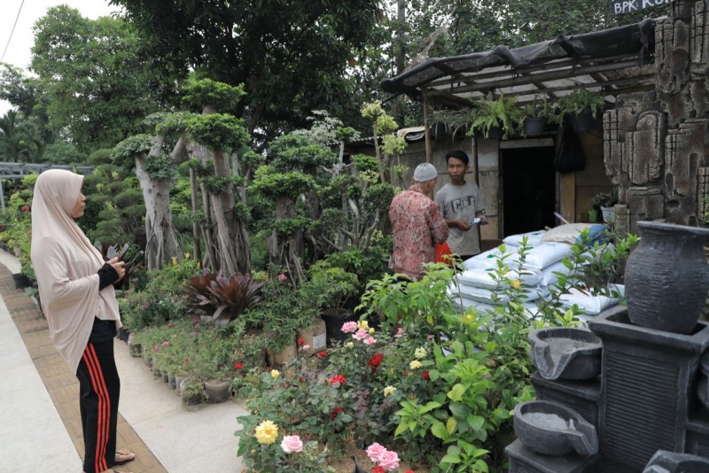IMG-meski-pandemi-penjual-tanaman-hias-tetap-optimis-bisa-bertahan