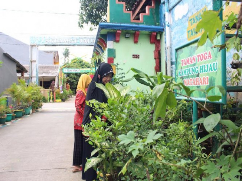 IMG-mari-menginsiparasi-kampung-hijau-matahari