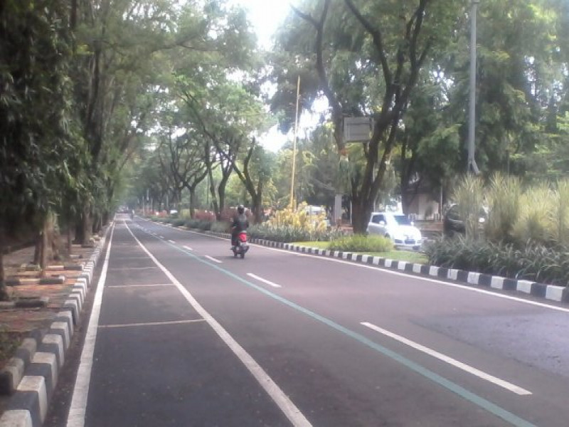 IMG-pemangkasan-pohon-tua-rutin-dilaksanakan