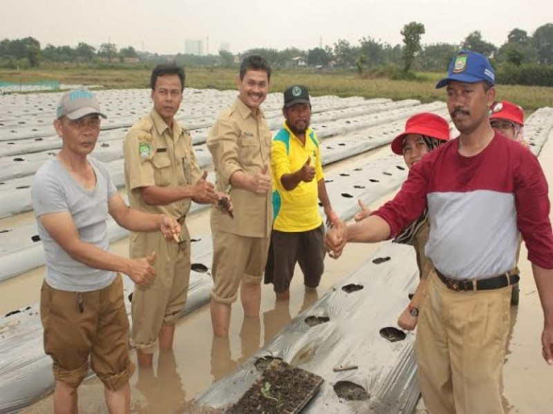 IMG-untuk-kebutuhan-ramadan-dkp-tanam-6500-bibit-melon