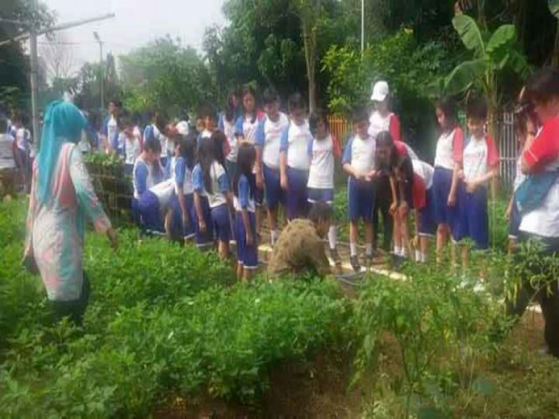 IMG-ratusan-pelajar-belajar-menanam-di-kwt-mawar-berseri