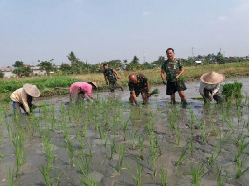IMG-jelang-hut-tni-bersama-rakyat-tni-kuat