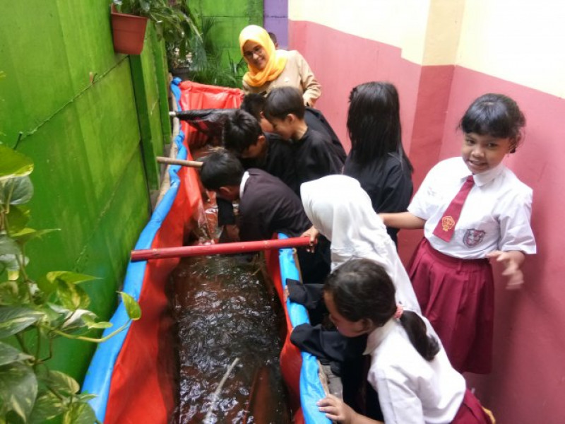 IMG-murid-sdn-5-tangerang-belajar-ternak-lele