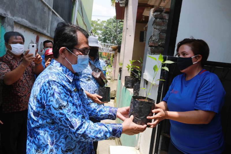 IMG-jaga-ketahanan-pangan-saat-pandemi-dkp-bagikan-bibit-tanaman-produktif