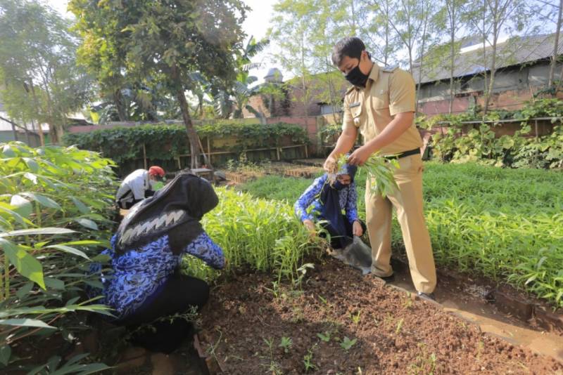IMG-perkuat-ketahanan-pangan-keluarga-secara-mandiri-dengan-berkebun