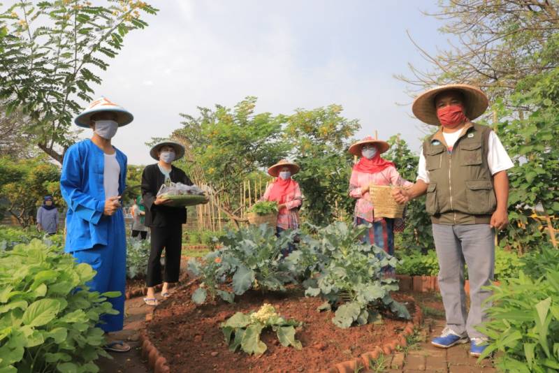 IMG-panen-raya-sayur-mayur-di-eco-park