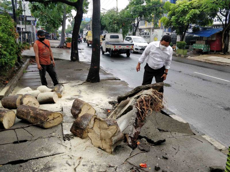 IMG-wali-kota-minta-masyarakat-antisipasi-tingginya-intensitas-curah-hujan