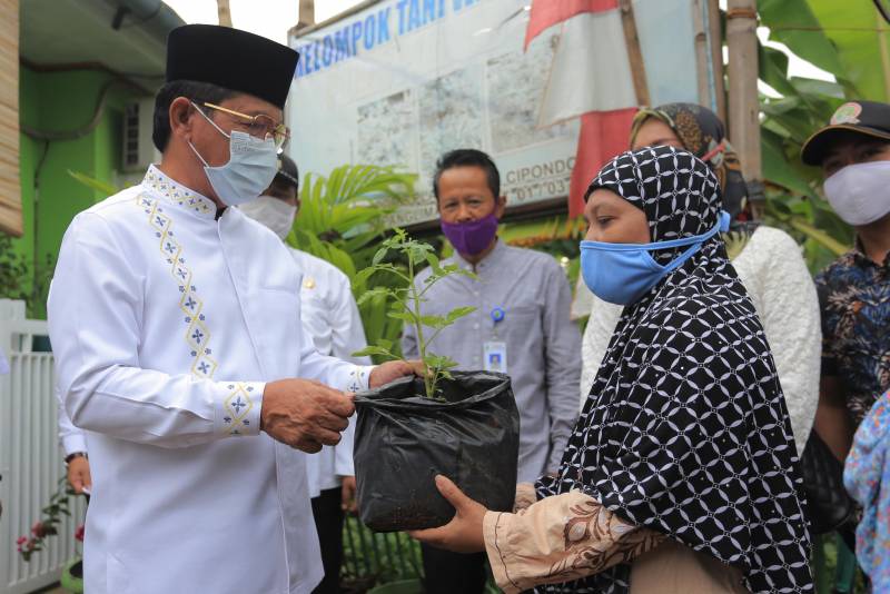 IMG-lagi-kwt-di-kota-tangerang-panen-sayur-dan-bagikan-bibit-di-tengah-pandemi