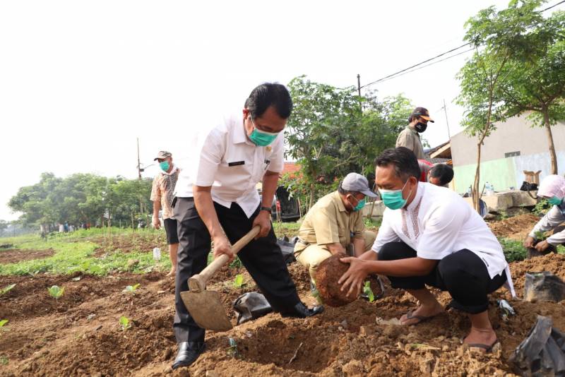 IMG-urban-farming-di-bantaran-cisadane