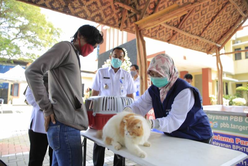 IMG-dkp-layani-vaksinasi-keliling-gratis-untuk-hewan-peliharaan