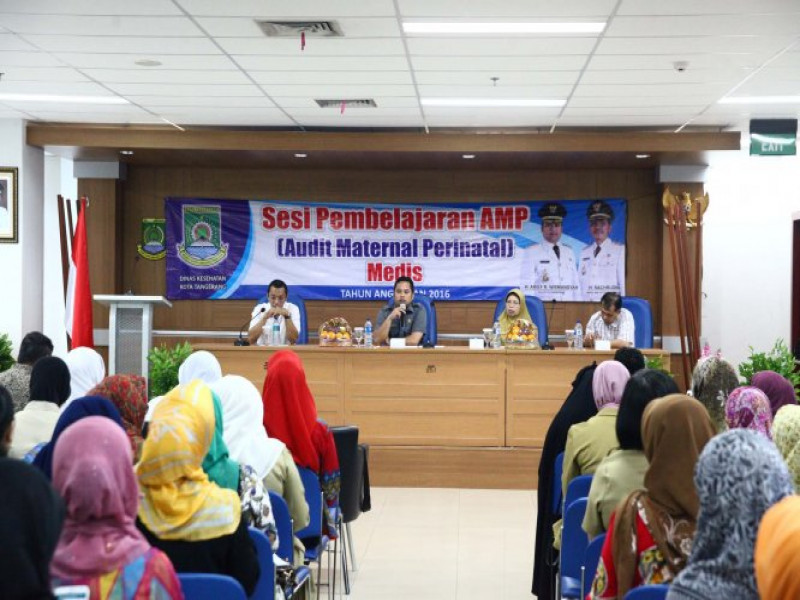 IMG-audit-maternal-perinatal-amp