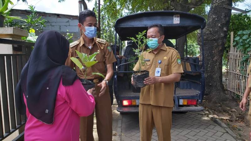 IMG-giatkan-terus-bercocok-tanam-pemkot-kembali-bagikan-bibit-tanaman