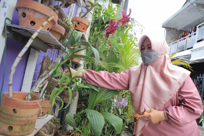 IMG-segudang-kreativitas-di-kampung-anggrek-pinang