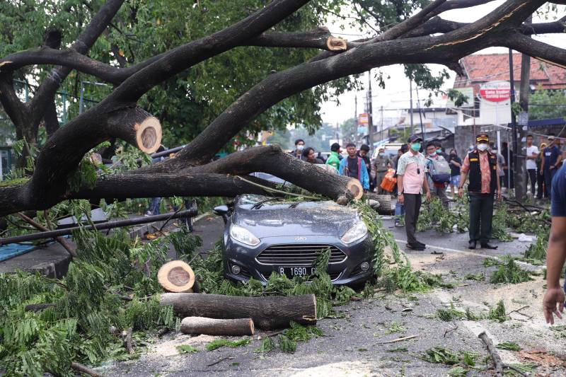 IMG-ini-cara-klaim-asuransi-korban-pohon-tumbang-di-kota-tangerang