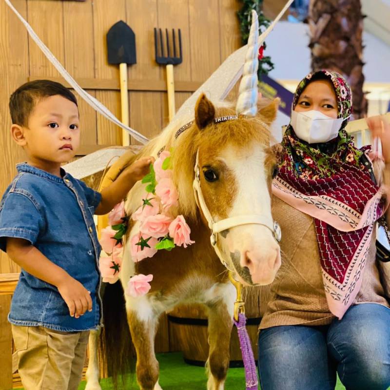 IMG-jingle-barn-tangcity-mall-hadirkan-mini-horse