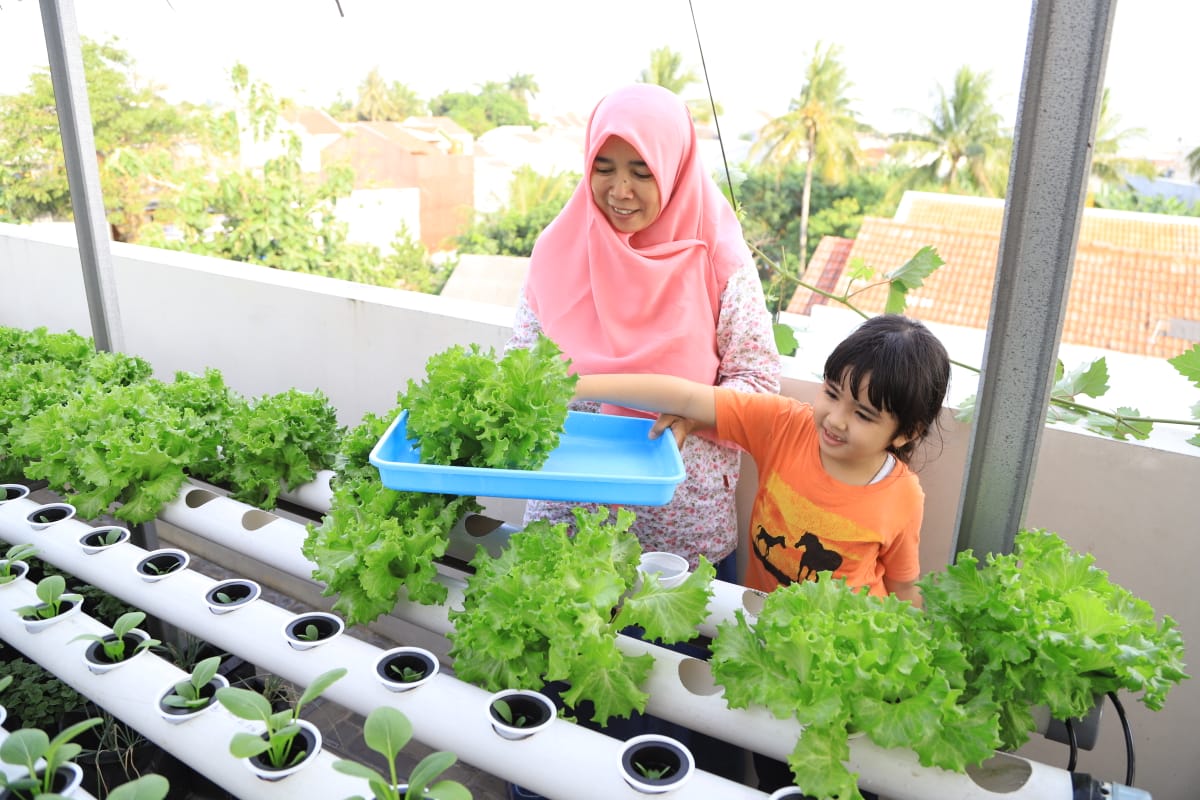 IMG-tak-perlu-biaya-banyak-ini-perlengkapan-untuk-urban-farming