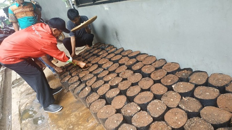 IMG-jaga-ketahanan-pangan-dkp-kota-tangerang-bagikan-205-ribu-bibit-tanaman-dan-143-ribu-benih-ikan-gratis
