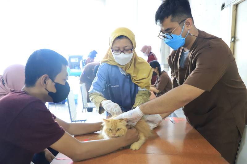 IMG-cegah-rabies-pemilik-hewan-peliharaan-di-kota-tangerang-diimbau-rutin-lakukan-vaksinasi