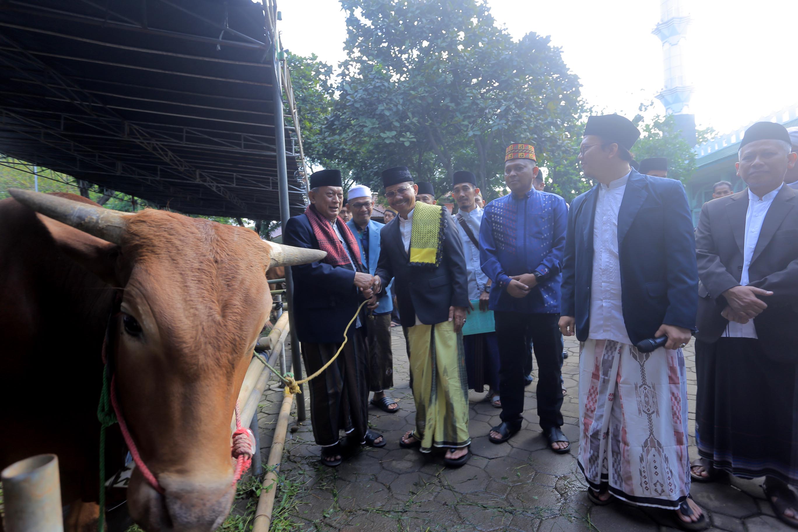IMG-tinjau-pemotongan-hewan-kurban-sachrudin-pastikan-kualitas-daging-dan-lingkungan-bersih