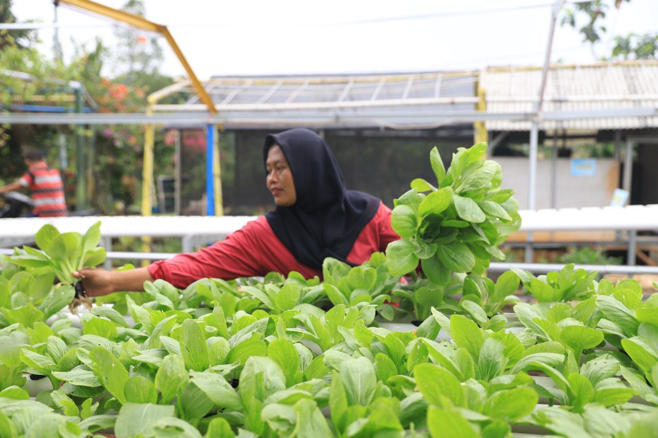 IMG-kota-tangerang-miliki-412-kampung-iklim-tersebar-di-104-kelurahan-yang-dibina-dlh