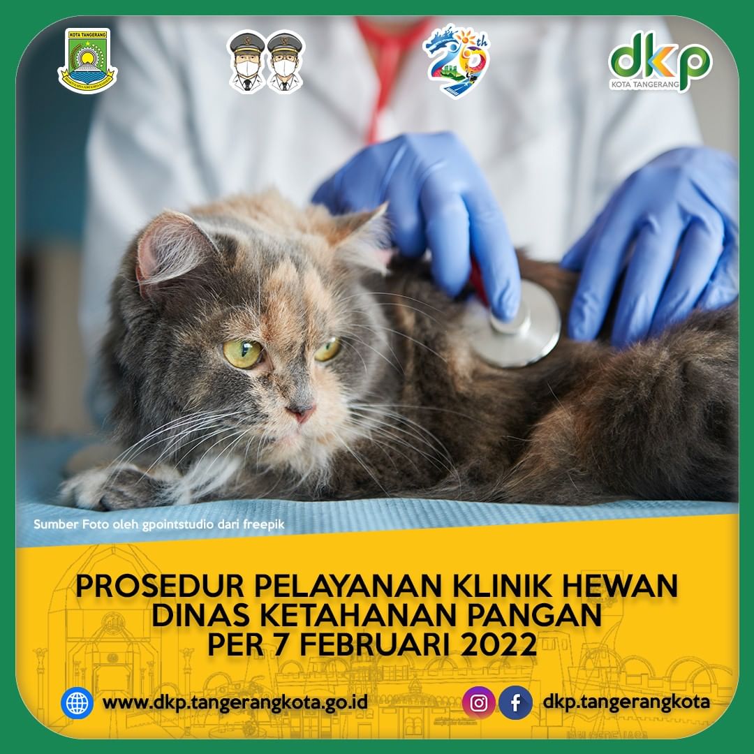 IMG-puskeswan-kota-tangerang-miliki-layanan-keliling-hingga-house-call