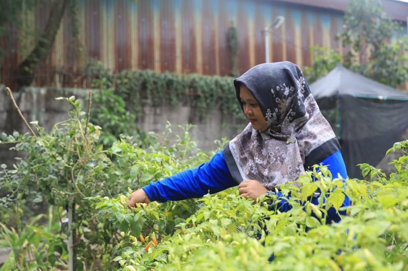 IMG-inovasi-maklor-kecamatan-periuk-kota-tangerang-sukses-turunkan-angka-stunting
