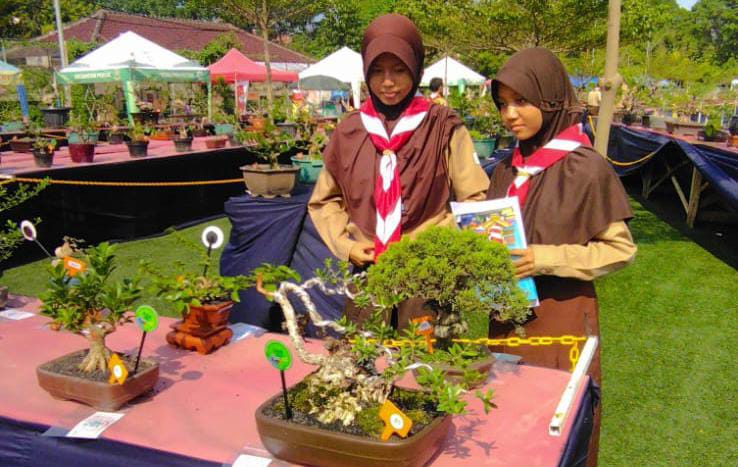 IMG-pelajar-smp-negeri-di-kota-tangerang-antusias-mengikuti-penyuluhan-bonsai