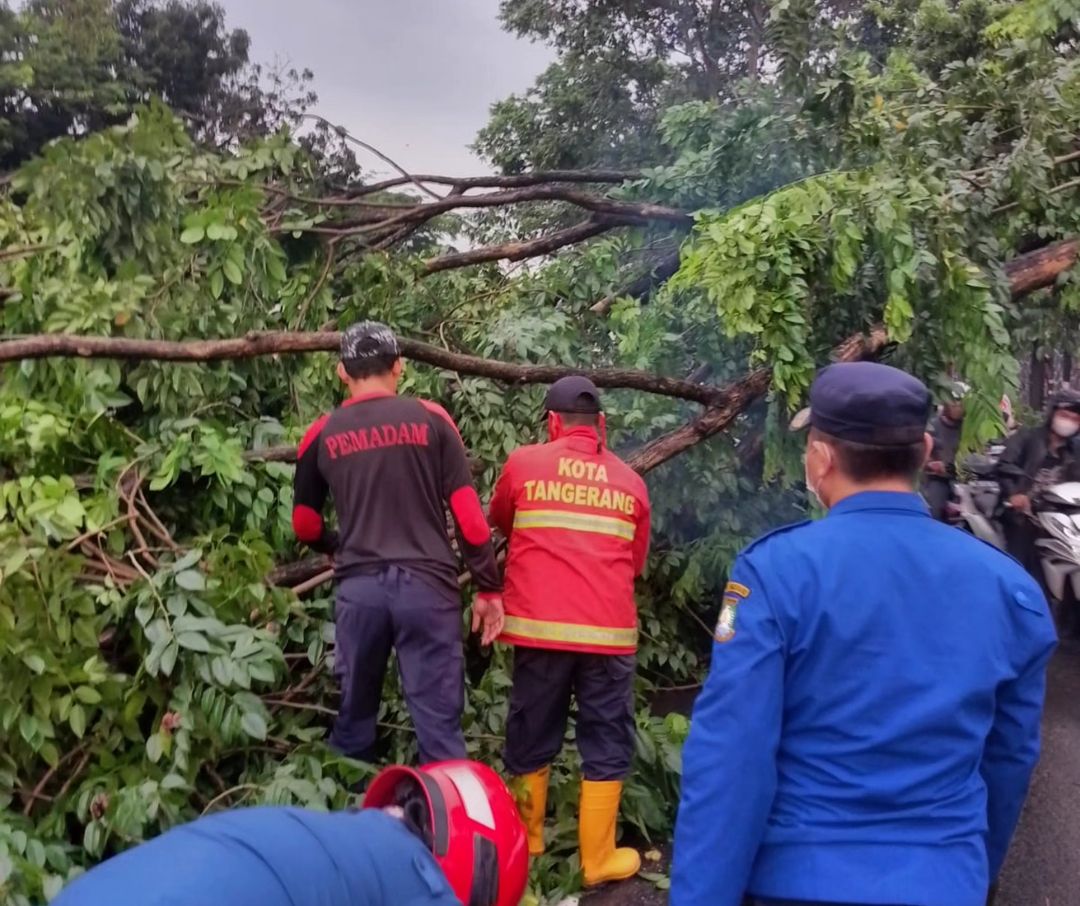 IMG-bpbd-kota-tangerang-sigap-atasi-pohon-tumbang-di-jalan-daan-mogot