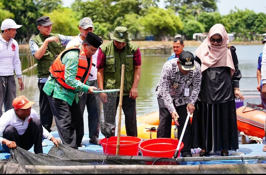 IMG-bangkitkan-perekonomian-kampung-lebar-pinang-panen-raya-1-kuintal-ikan-lele