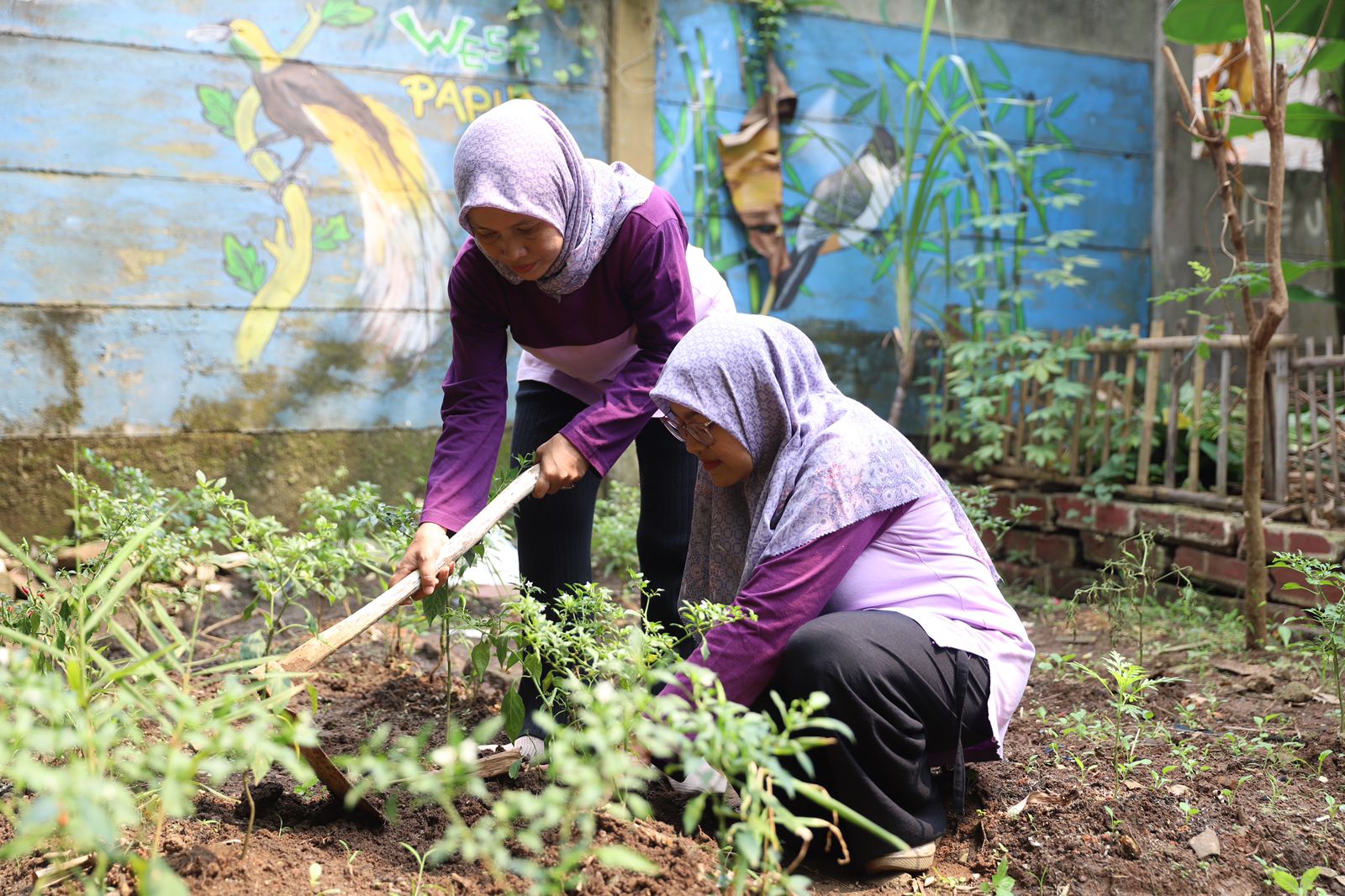 kwt-srikandi-nusa-jaya-kota-tangerang-berhasil-manfaatkan-lahan-tidur-jadi-produktif