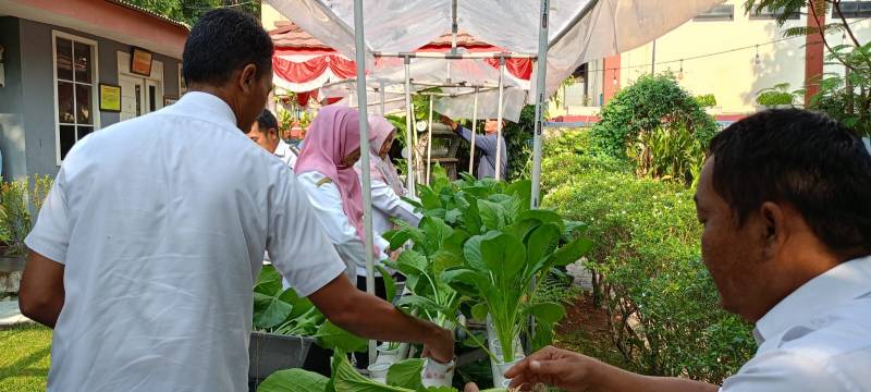 pemkot-tangerang-ajak-masyarakat-lakukan-urban-farming-untuk-jaga-ketahanan-pangan-lokal