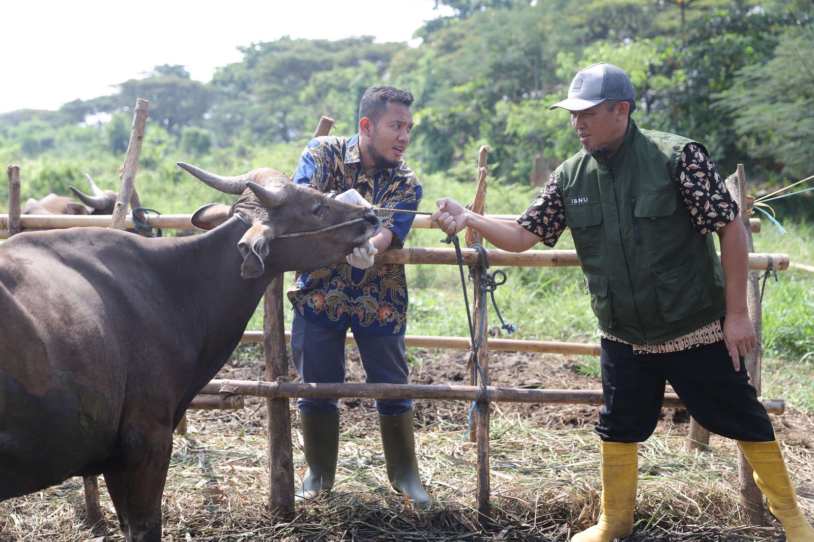 IMG-dkp-masifkan-pengecekan-kesehatan-hewan-kurban-di-kota-tangerang