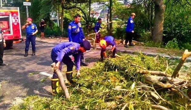 IMG-pohon-tumbang-di-jalan-daan-mogot-disbudpar-kota-tangerang-korban-bisa-klaim-asuransi