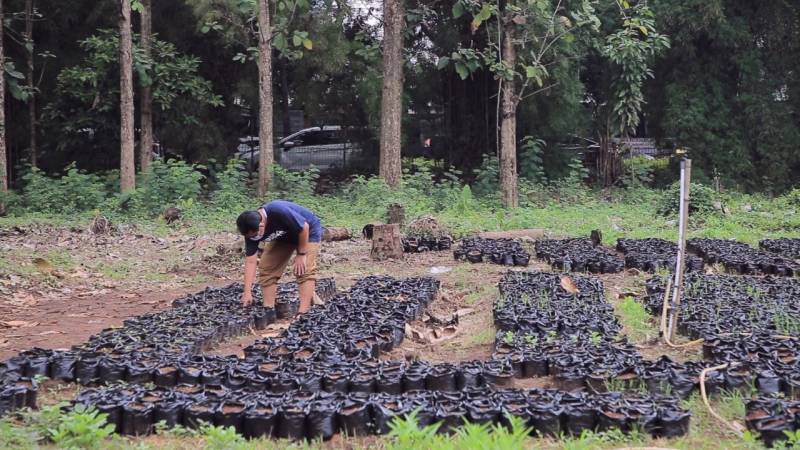 IMG-hasilkan-ratusan-ribu-bibit-pemkot-tangerang-catat-kemajuan-urban-farming-secara-signifikan
