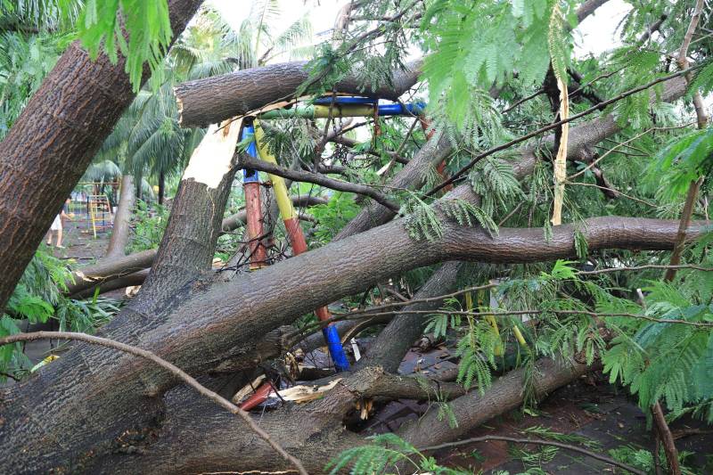 IMG-pemkot-tangerang-tangani-11-klaim-asuransi-korban-pohon-tumbang-begini-cara-dan-syaratnya